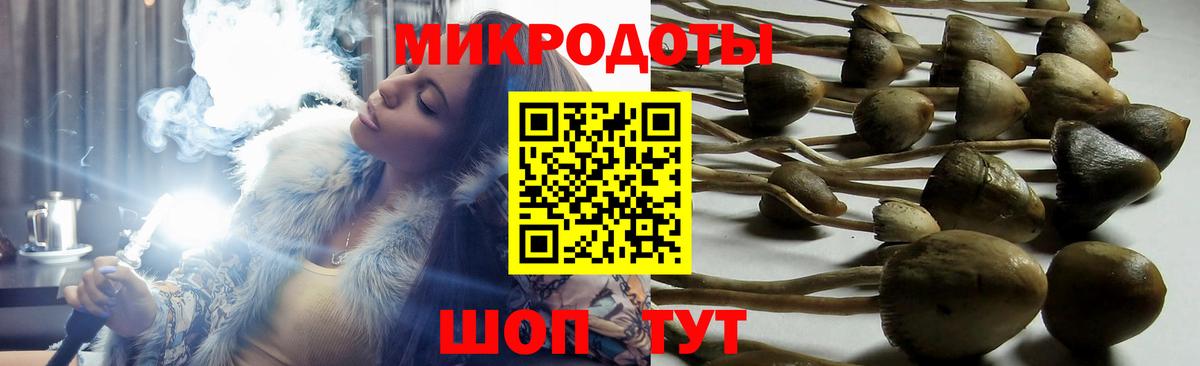 A-PVP Ачинск